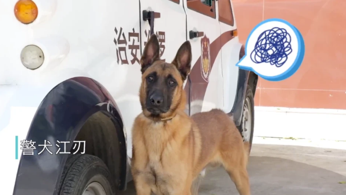 警犬吃太胖被要求减肥,遭5000万网友围观
