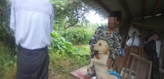 老汉拾到拉布拉多犬不还惹纠纷,狗儿却直扑主人怀中
