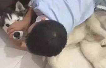 宝宝正和狗狗玩乐,被亲了一下后小表情太逗了:这味道太上头了