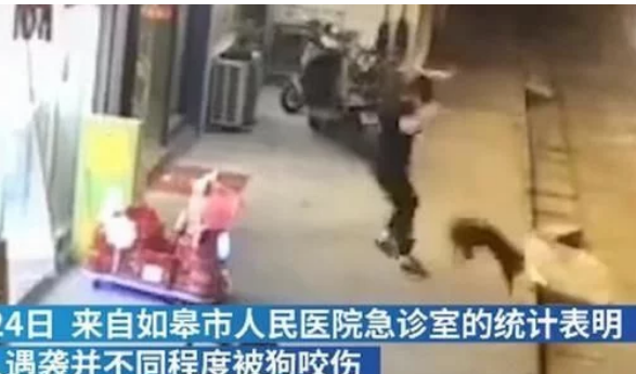 注意安全!江苏南通发现一条疯狗四处游荡,已咬伤21人