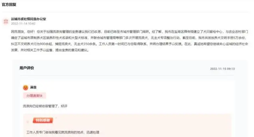 网友建议加强流浪狗的收容管理 山西运城:专项整治