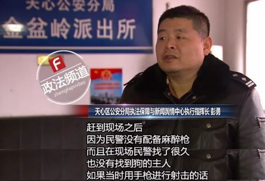 长沙芙蓉路咬人金毛被民警用木棒打死虐狗事件,官方辟谣事件全过程