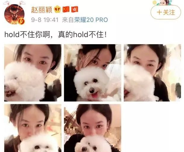 赵丽颖晒晒1组与狗狗的自拍图,怀里家犬裸妆出境超美!