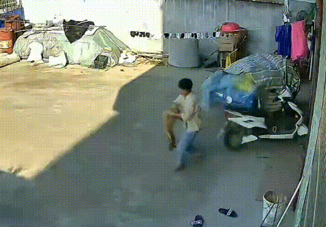 养了2年的狗狗意外走失,一年后自己找回家,它从没忘记回家的路