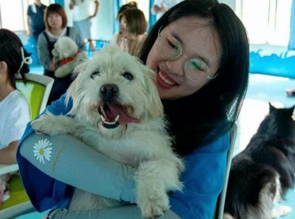 济南有了首家文明养犬宠物俱乐部