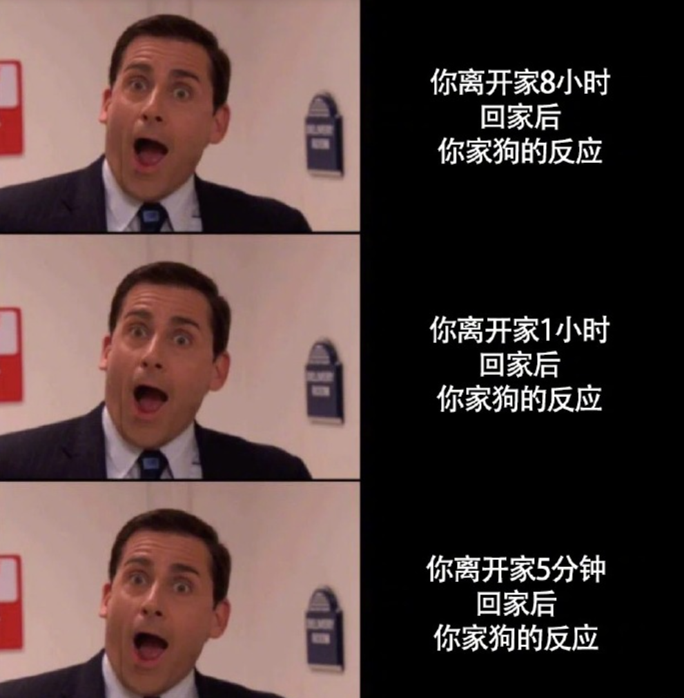 小狗勾能有什么坏心思呢?这些狗狗的内心戏太可爱了!