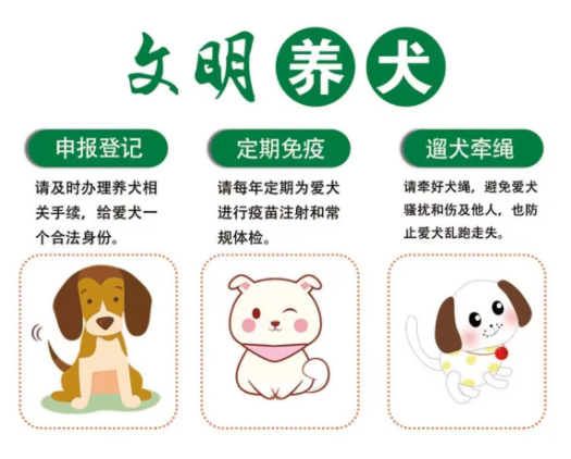 流浪狗咬伤孩童,民警将犬送往宠物救助站