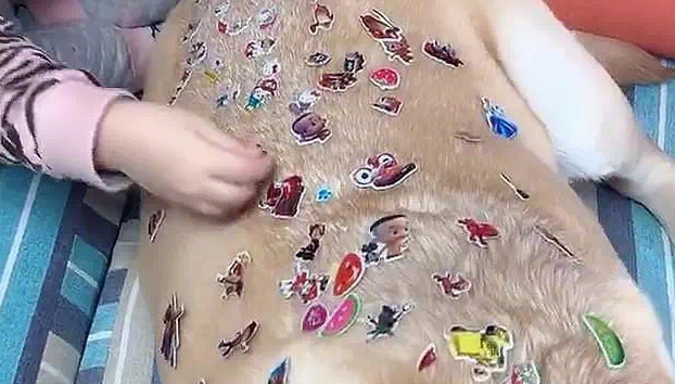 狗狗一脸不情愿，看过眼背部却被逗笑了：闺女也太过分了