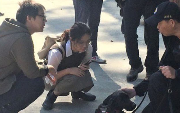 台中花博开幕有警犬与骑警进驻维安 成特殊亮点