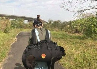 狗狗年纪大走不动 瘦弱女主人一把背起爱犬
