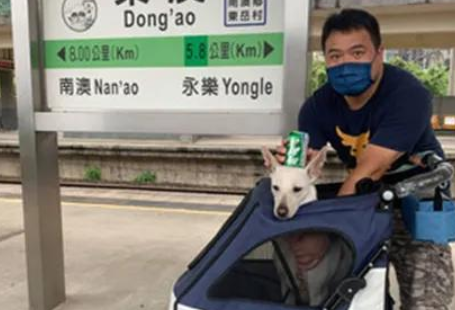 狗子提前睡在媳妇身旁,还目光暗示着他出去睡,网友笑哭