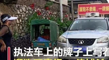私自上街的宠物狗被活活打死:狗无牵绳一律捕杀