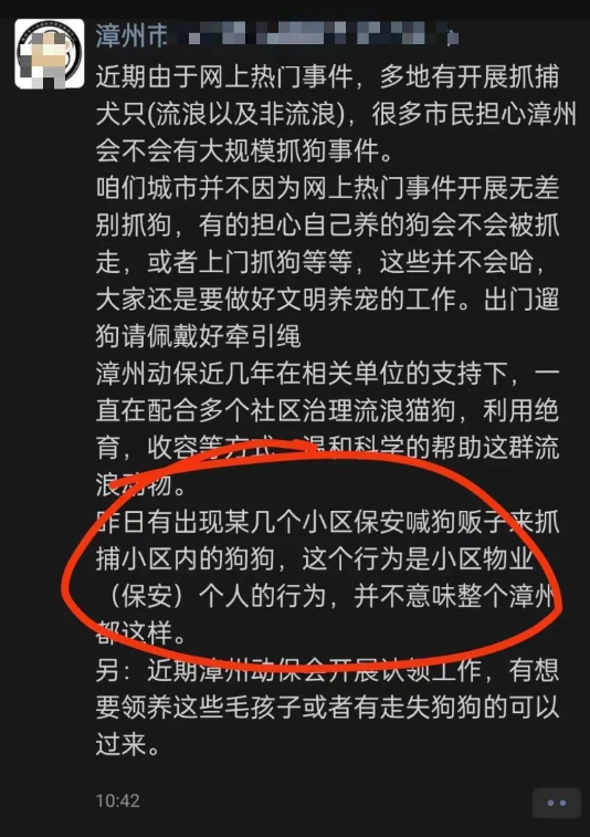 漳州一小区物业勾结狗贩子抓狗送狗肉馆?流浪狗变成了谁的敛财工具!