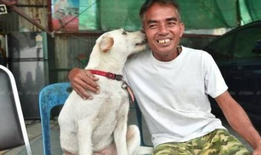 大叔找回走失爱犬,为庆祝,大摆流水席,路人村里人都招待