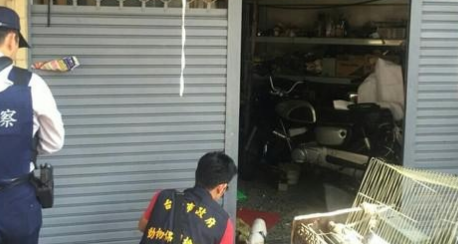 台湾男子徒手虐死幼犬 称“我教训它不关别人的事!”