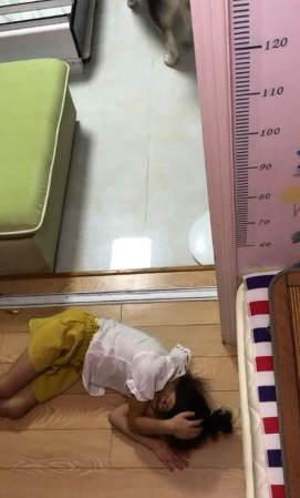 狗狗眼见小主人在地面上睡觉了,接下去的行为,令人内心一阵暖