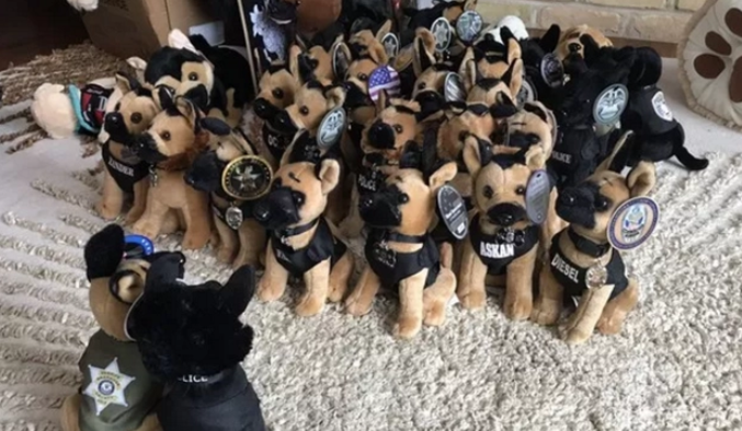 门口来了40多只警犬,还有许多警察,为了一个“女孩”而来
