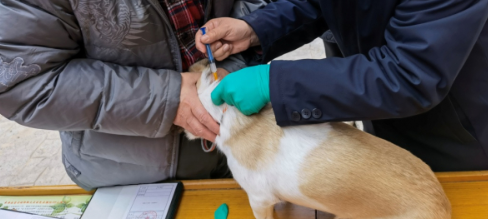 西安经开区社区开展免费接种狂犬疫苗服务进社区活动