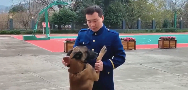 训犬员退役后，狗狗扒着车门不愿让他离开