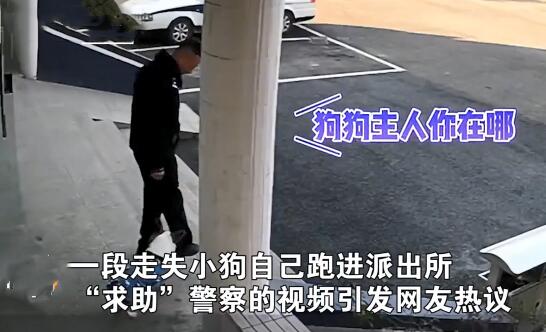 派出所里来了1只狗狗,围着警察们到处转:哪里来的小可爱呀?
