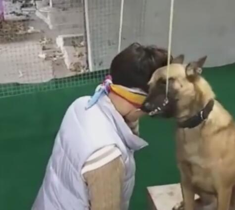 主人装作吊死,狗狗快速解救,利牙一瞬间咬掉挂件绳!