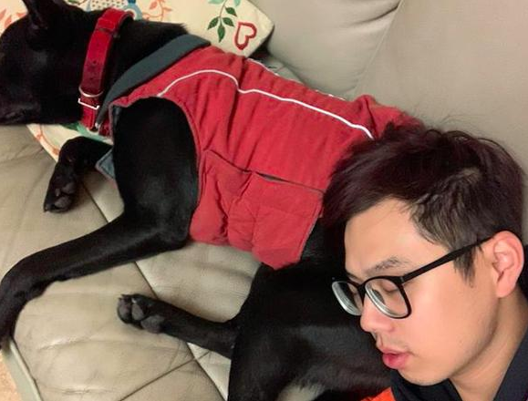 小狗因吃完骨骼零食而送命,原先狗狗吃骨头,会出现这么大的风险性!
