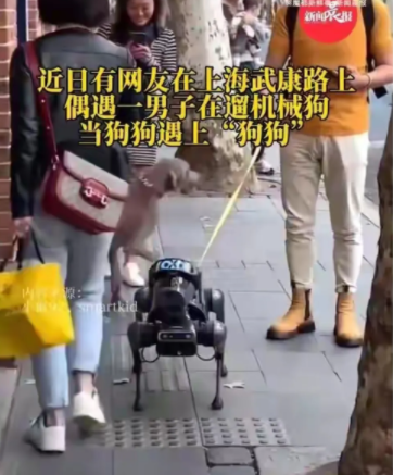 机器狗的宠物属性已经被挖掘出来了,已经有时髦人土开始在大街上溜机器狗了