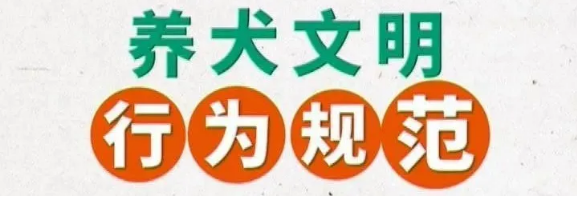鹤壁养犬人士速看!即日起集中整治!