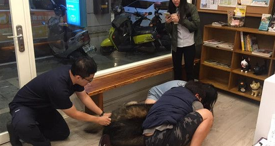 高山犬被压制打针 结束后气到找医生理论