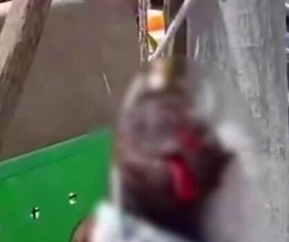 活该！江苏一条狗遭菜场老板棒杀挂树，爱狗人士看到伤心欲绝