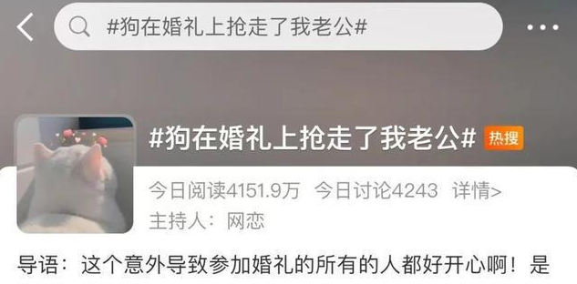 “狗在婚礼上抢走了我老公”,网友婚礼现场发生意外,笑翻了