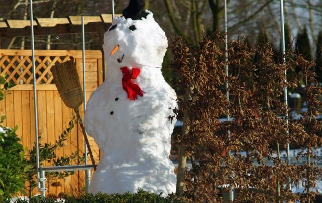 狗狗帮主人拆包裹发现里面都是书，结果特兴奋地上去把书撕个稀碎