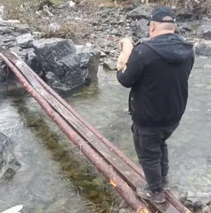 土狗病重后离家出走,主人冒雨上山找寻