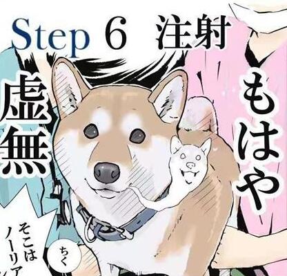 柴犬打针是什么体验,漫画图的表现,让它在怀疑“狗生”
