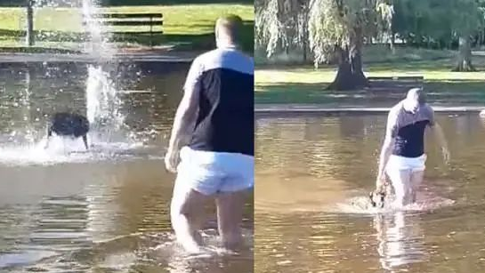 爱玩小狗冲入喷水池唤不回，饲主湿掉“狼狈不堪牵狗”