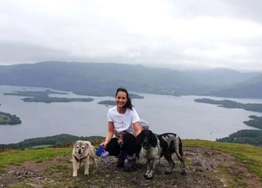 宠物狗也能献血:英国猎犬献血6年