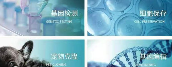 狗狗死了还能克隆吗?宠物死亡多久还能克隆?