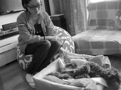 贵宾犬脚筋被残忍挑断 凶手至今还没找到