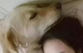 母狗给小奶狗喂奶,宝宝也想分一杯羹,挤掉小奶狗,金毛动作暖心