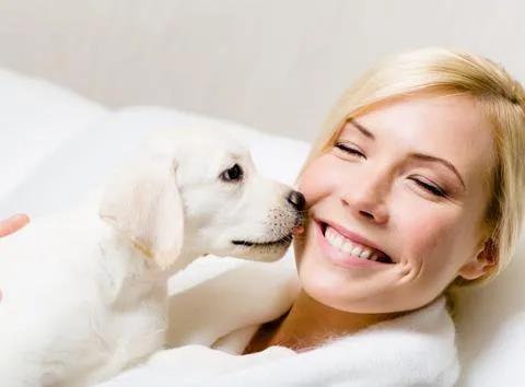 狗狗为什么喜欢舔人？并不只是爱你这么简单哟