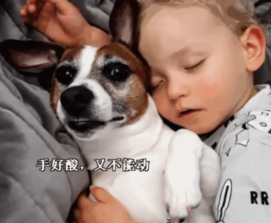小主人搂着狗狗入睡,狗狗醒来害怕惊动小主人,一动不动好温暖