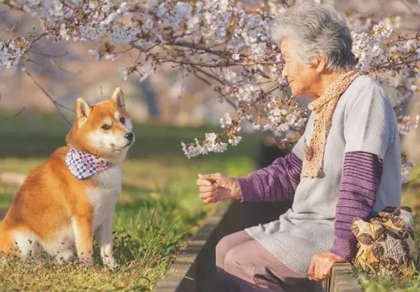 因为养狗,一年减了177斤