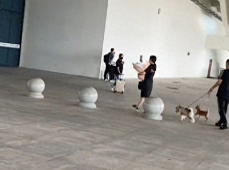 夫妻俩牵着两只狗狗来接儿子和女友,还送上鲜花,温暖又有爱呀!