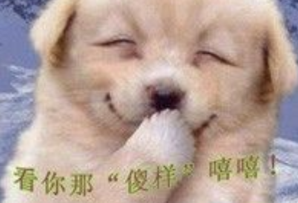 女孩捡回家的流浪小奶狗,狗狗歪着脑袋捂嘴偷笑:你捡到宝了