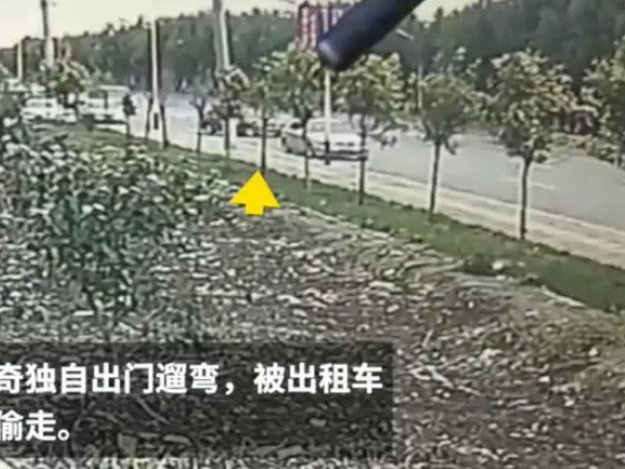 连二哈都偷?哈士奇独自遛弯,不料被出租车司机“顺手牵狗”