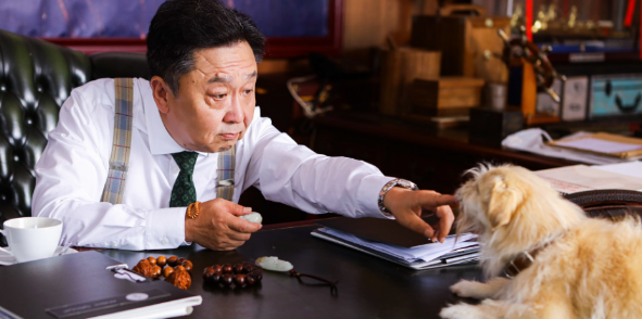 宠物电影《狗果定理》正式上映,你去看了吗?