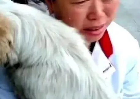 大街上流浪狗突然扑向大姐,原以为是想咬人,直到狗狗流出了眼泪