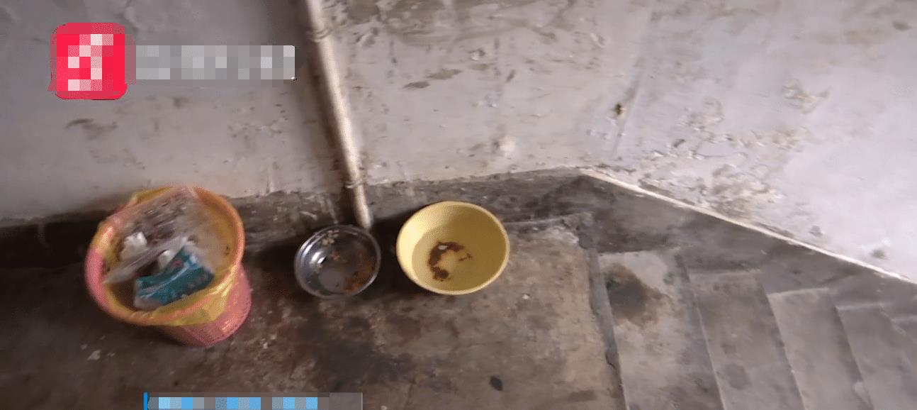 “我的狗不咬人!”贵州一女子将狗养在楼道内,邻居不干了!