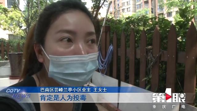 某小区宠物狗接连死亡 警方介入调查