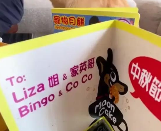 汪明荃和罗家英月饼收多了,竟拿出来喂狗了?